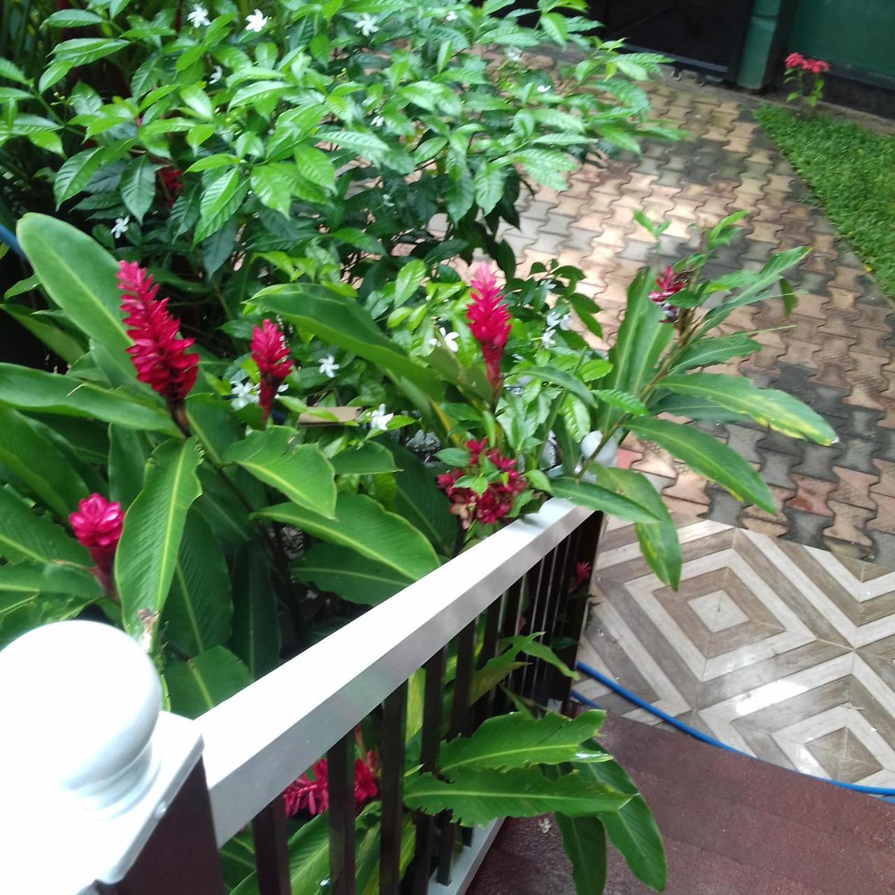 Rainbow Guest House Hikkaduwa Luaran gambar
